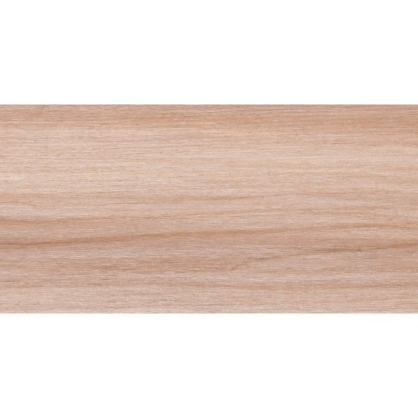 Abs 44/1mm ch2168 st19 noce alba biondo