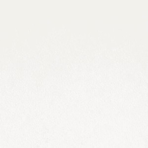 Iverica oplemenjena CH 200 SM/SM (W901 SM) 16mm Front White FSC Mix 95%