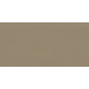 ABS 43/ 0.8mm W PF 8030 SG 18mm Inox beige